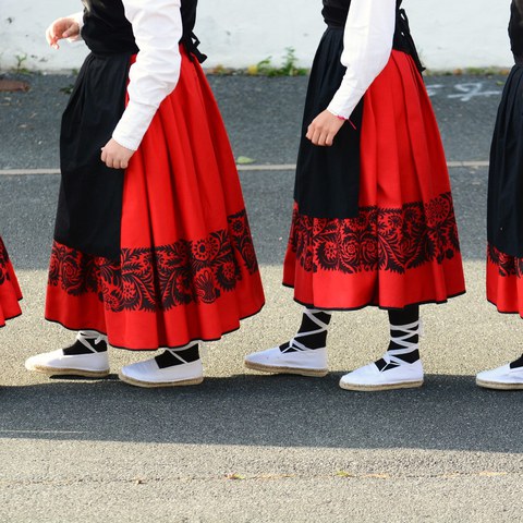 Euskal jauziak