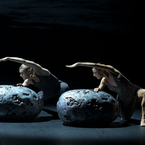 Malandain Ballet Biarritz "La chambre d'amour"