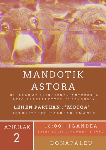 Mandotik astora Mandotik astora