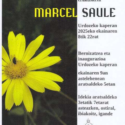 Marcel Saule