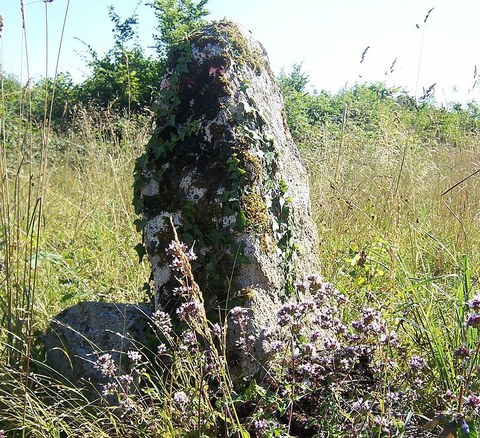 Xarles Videgain "Mugako Hitzak"