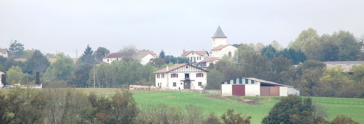 Amendeuix-Oneix