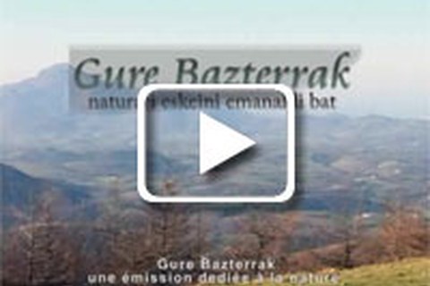 Gure bazterrak