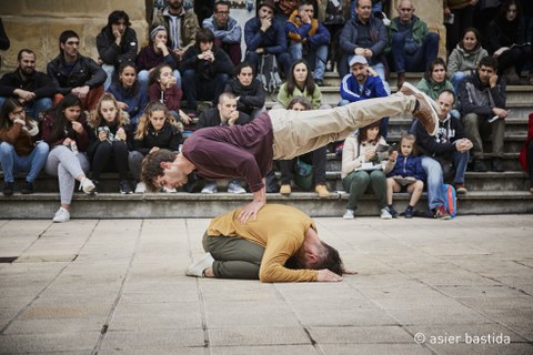 Proyecto Larrua " Akullu"