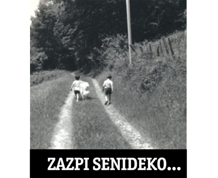 Axut! "Zazpi senideko"