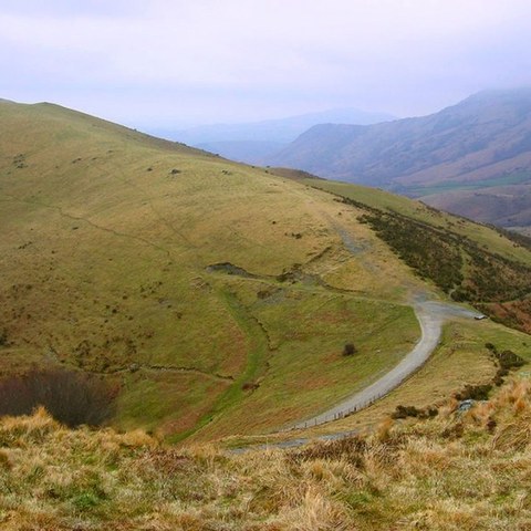 Comète sarearen egunak