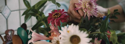 "Kimuak" laburmetraiak