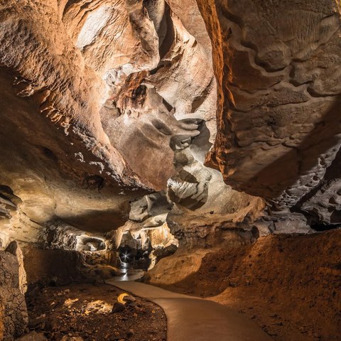 La musique des Grottes - Jean-Claude Enrique