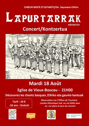 Lapurtarrak
