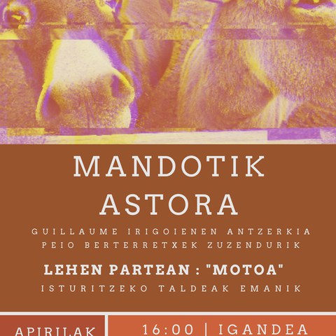 Mandotik astora