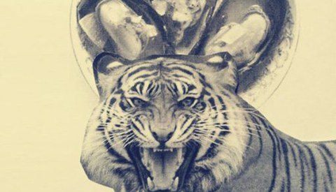 Mejillon Tigre "Hitz Esana"