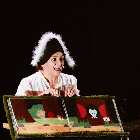 "Papogorri" albumaren irakurketa musikatua