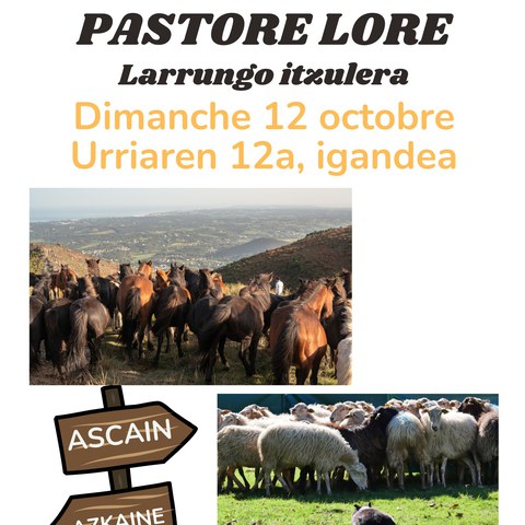 Pastore Lore 2025