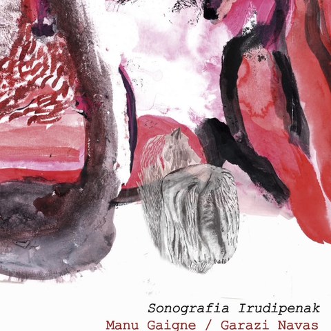 Sonografia Irudipenak