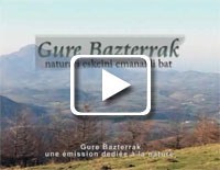 Gure bazterrak