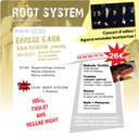 Root System