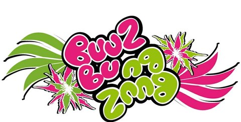 Buuzbu taldea - DJ Mizel