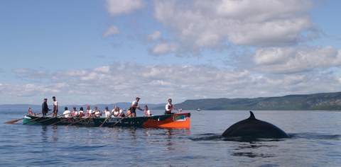 Eusko Diaspora gaualdia
