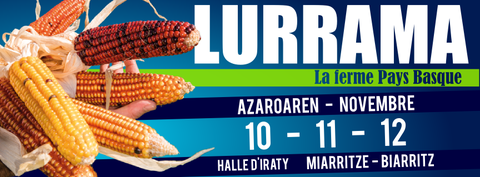 Lurrama 2017