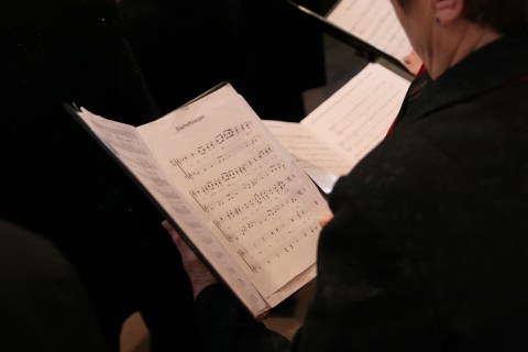 Calligrammes abesbatza