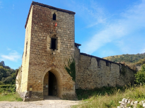 Erdi Aroko Nafarroa Behereko nobleen bizilekua: dorretxeen adibidea