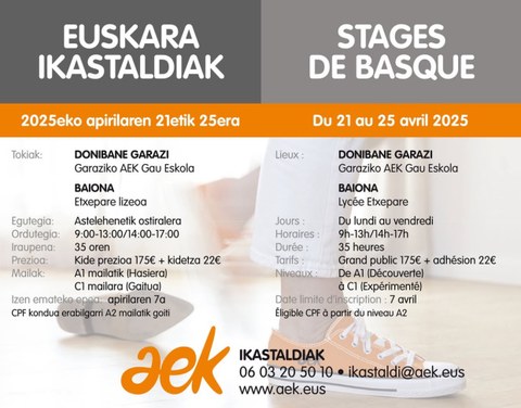 Euskara ikastaldia