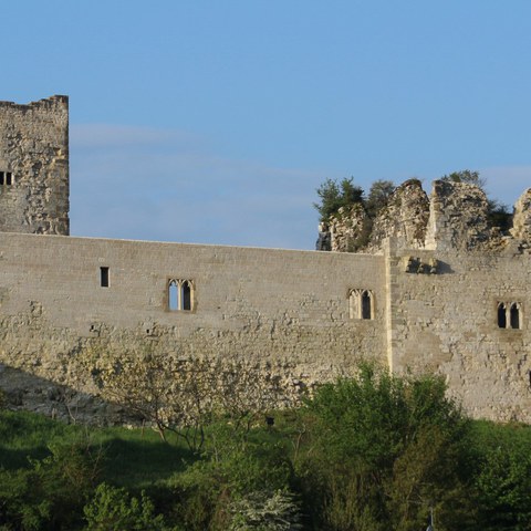 Gixune 1449