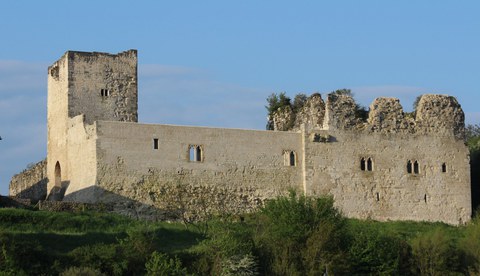 Gixune 1449