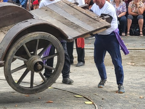 Indar jokoak Donapaleun eta Euskal Herrian Indar jokoak Donapaleun eta Euskal Herrian