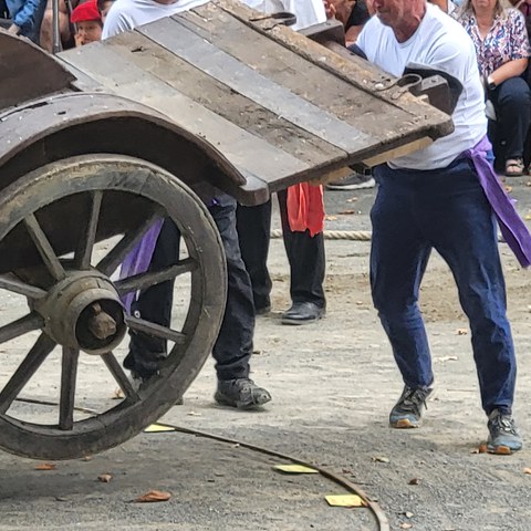 Indar jokoak Donapaleun eta Euskal Herrian