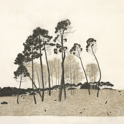 "La part du feu" eta "Vaste Monde #3" erakusketen bisita gidatua euskaraz