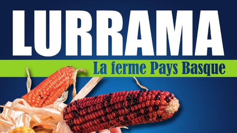 Lurrama 2020