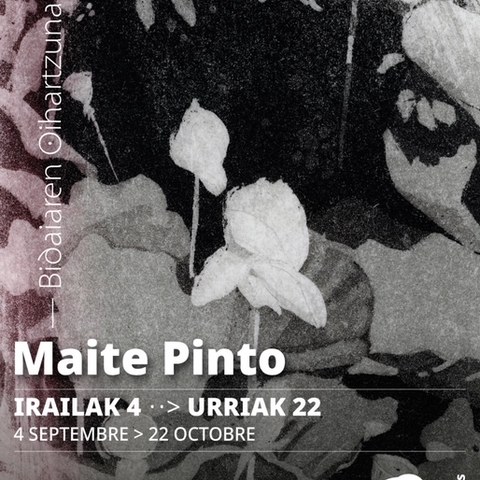 Maite Pinto "Bidaiaren oihartzunak"