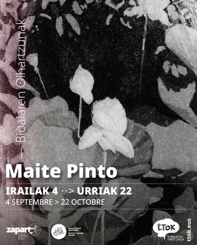 Maite Pinto "Bidaiaren oihartzunak"