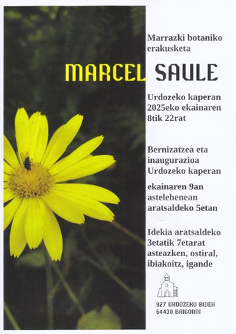 Marcel Saule
