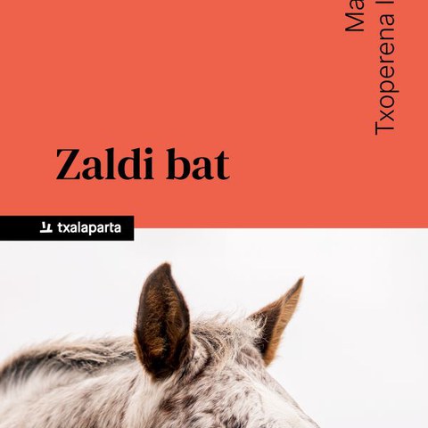"Zaldi bat" liburuaren aurkezpena
