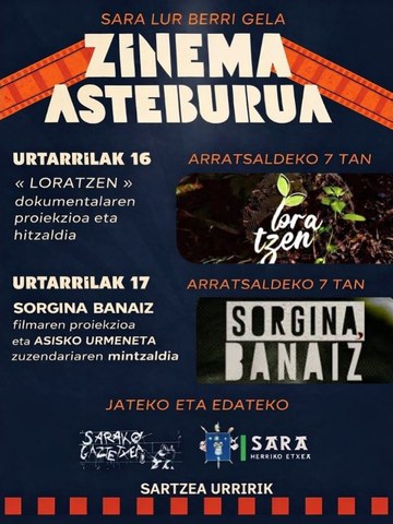 Zinema asteburua