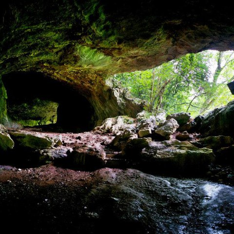 Zugarramurdiko "sorgin" ihiziaren  historia (1609–1614)