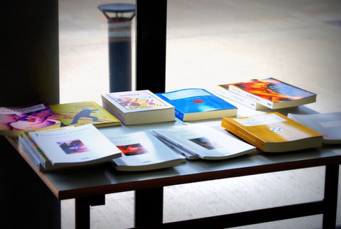 Etxepare Institutuko 2013ko literatura-itzulpenetarako diru-laguntzak Etxepare Institutuko 2013ko literatura-itzulpenetarako diru-laguntzak