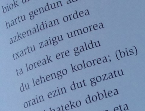 "Larraldea saria" bertsupaper lehiaketa "Larraldea saria" bertsupaper lehiaketa