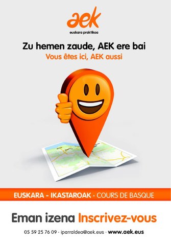 Helduendako euskara kurtsoen sartzea