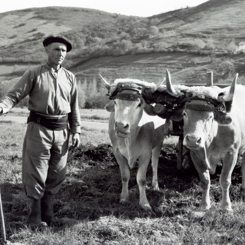 Ipar Euskal Herriko ahozko memoriaren lekukotasun sortak