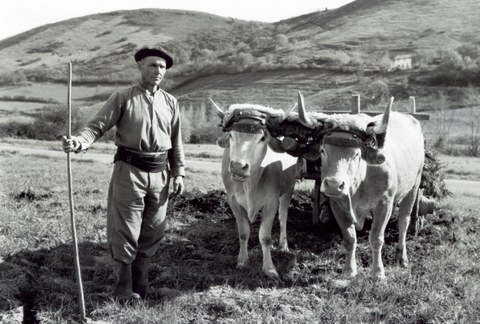 Ipar Euskal Herriko ahozko memoriaren lekukotasun sortak
