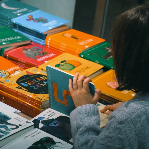 Ipar Euskal Herriko musika eta literatura argitalpen berrien bilduma apailatu dugu