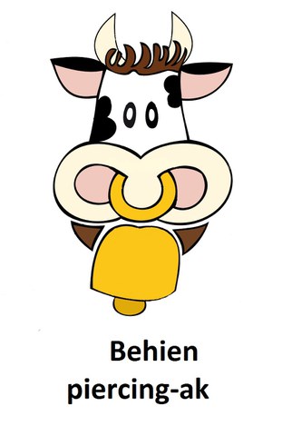 Behien piercing-ak