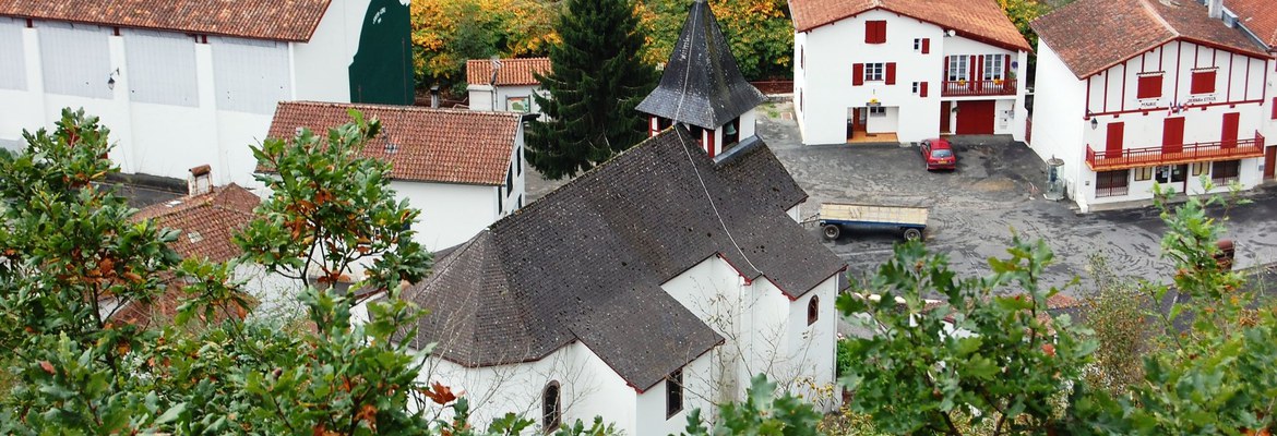 Arnegi