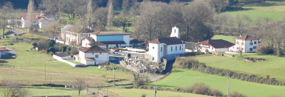 Donamartiri