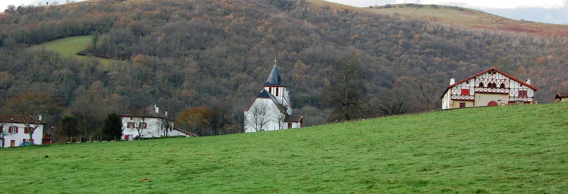 Ibarla