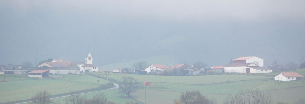 Jutsi