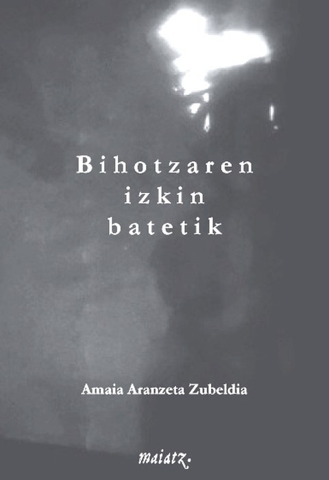 Bihotzaren izkin batetik